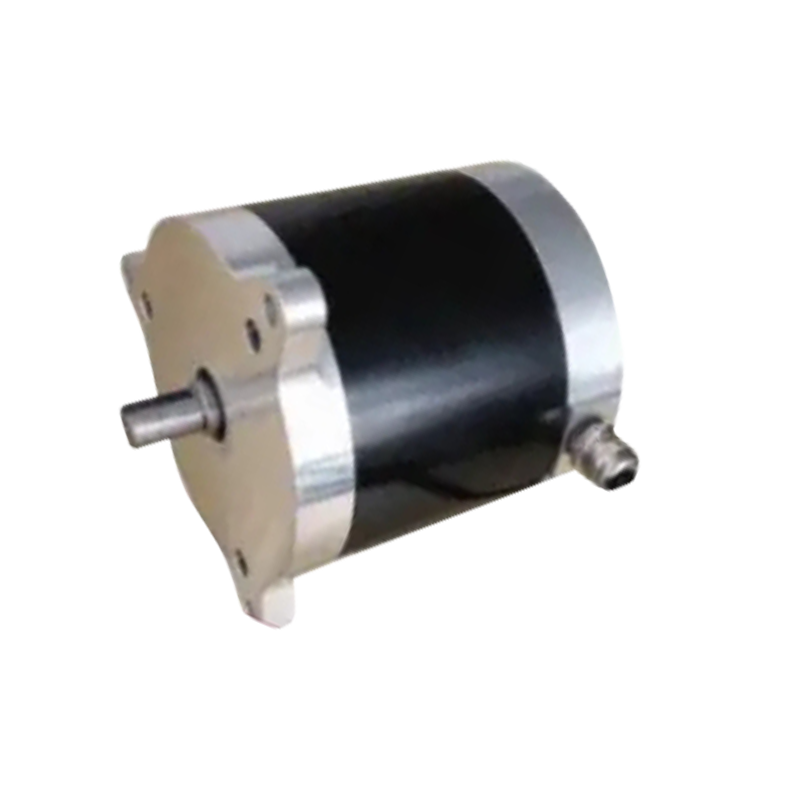 BL100 100 mm diameter elektrisk gaffeltruckmotor med 24VDC 300W