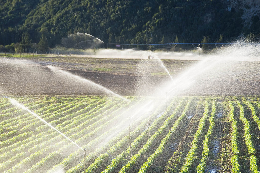 Landbruksautomatisering